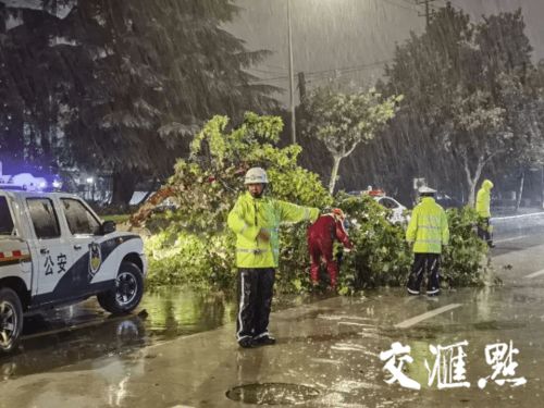 江苏多地交警推出便民停车措施 商场楼顶免费与道路两侧有序停放